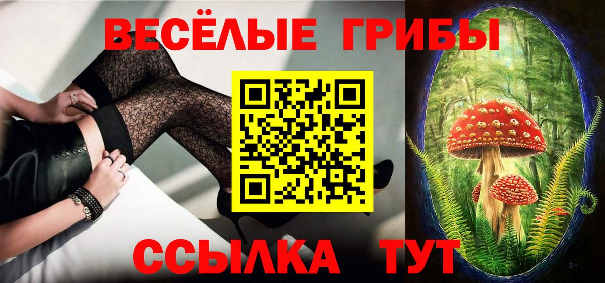 Фрязино  что такое наркотик  Вход с VPN  Псилоцибиновые грибы Psilocybine cubensis 