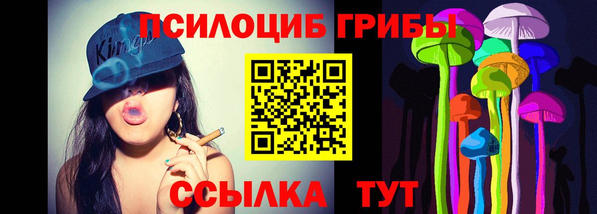 Псилоцибиновые грибы мухоморы Фрязино