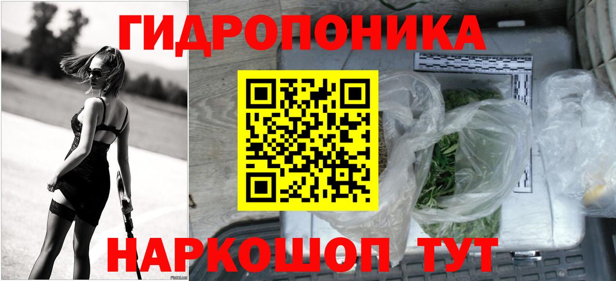 Шишки марихуана гибрид  МАРИХУАНА ГИДРОПОН  Бошки марихуана Bruce Banner  Фрязино  Вход с VPN 